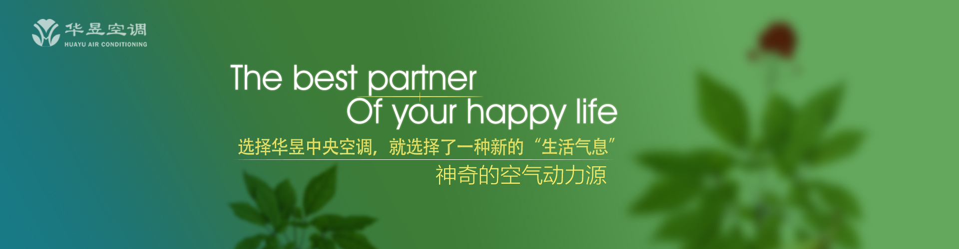一清二楚网